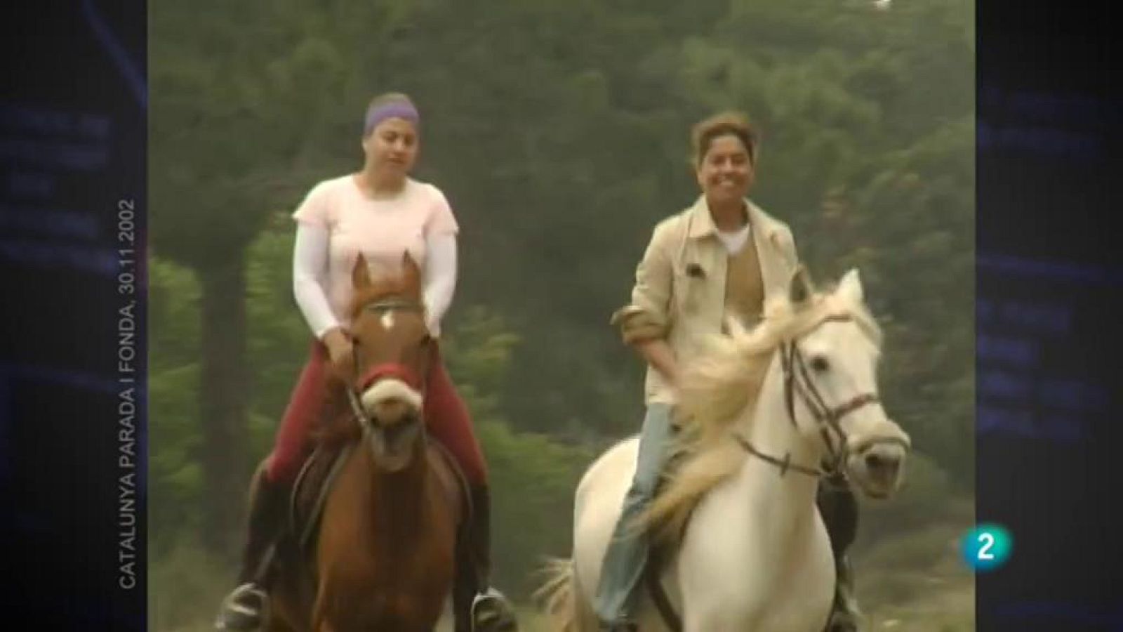 Ho has vist? - Catalunya parada i fonda