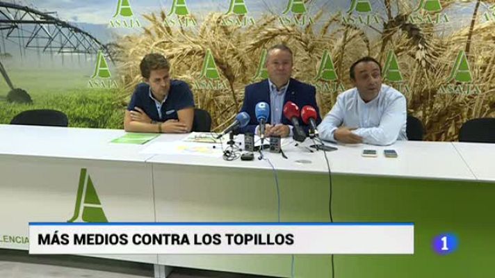 Noticias de Castilla y León - Castilla y León en 1' - 16/08/19