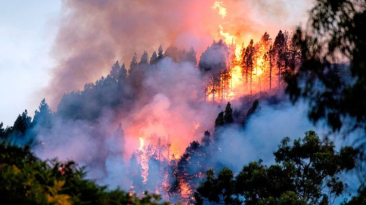 Telediario 1 - Telediario matinal en 4' - 18/08/2019