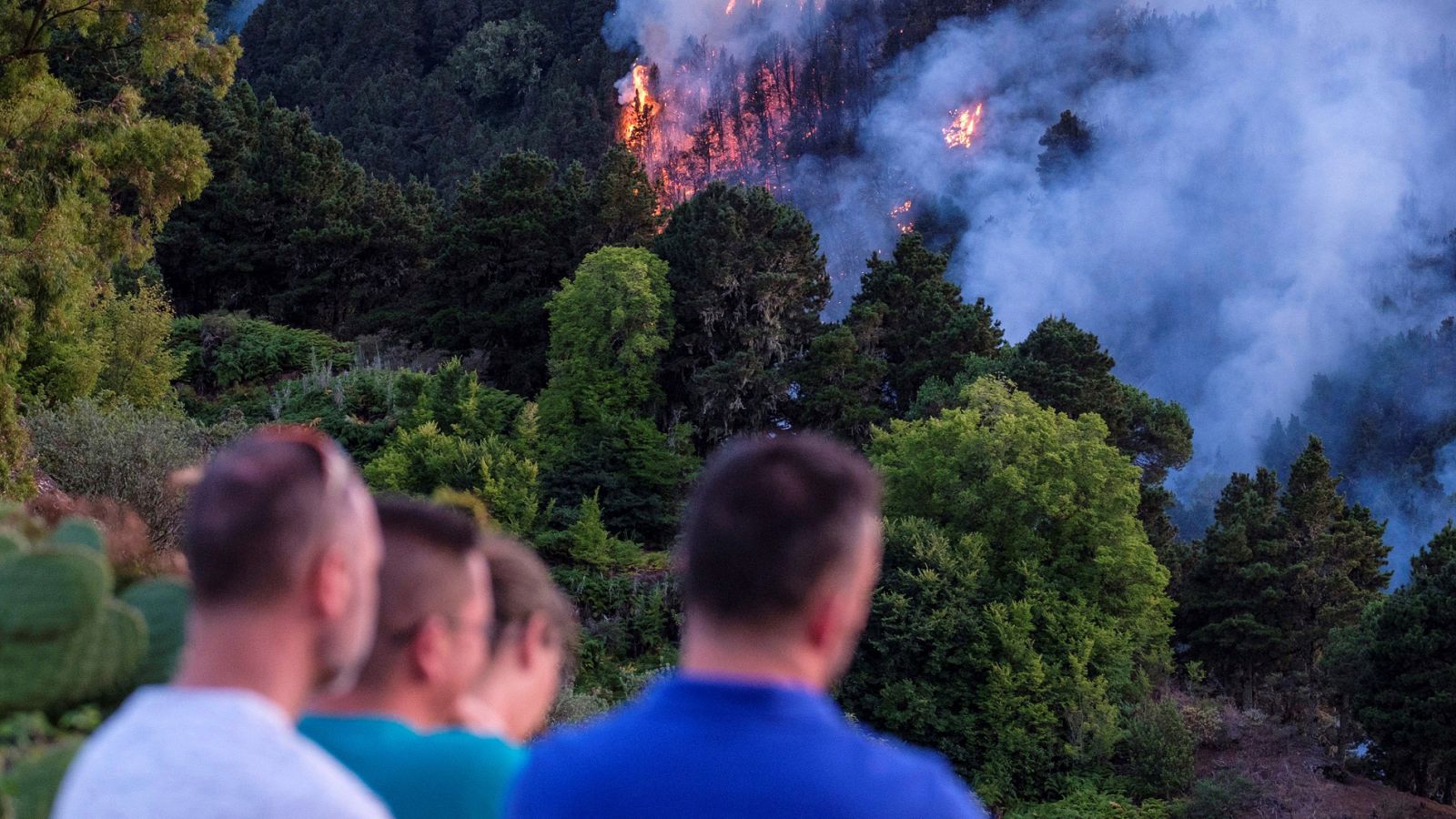 2.000 evacuados este sábado tras declararse un nuevo incendio en Gran Canaria