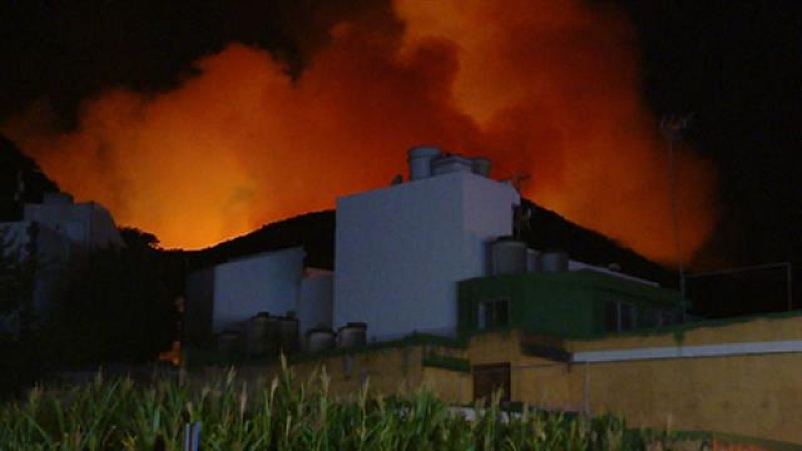 Telecanarias - 18/08/2019