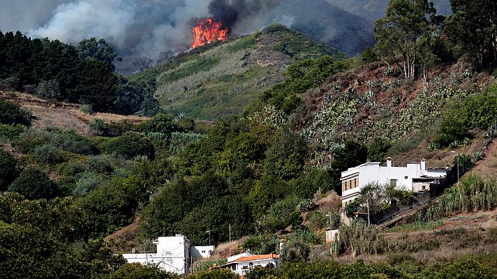 Telediario 1 - El incendio forestal de Valleseco, Gran Canaria, está descontrolado y es "muy virulento"