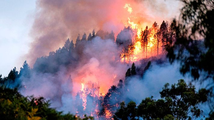 Telediario 1 - Canarias sufre más de 270 incendios forestales en 20 años