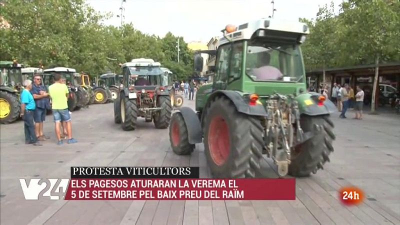 Vespre 24 - 16/08/2019