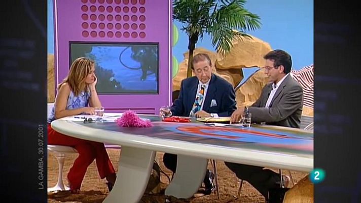 Ho has vist!? - La gamba