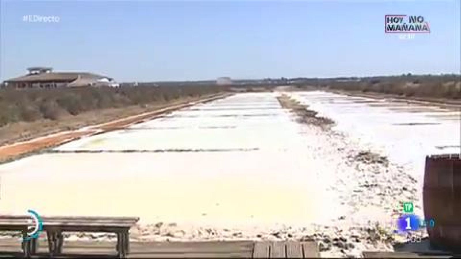 Salinas de Chiclana - España Directo | Ver