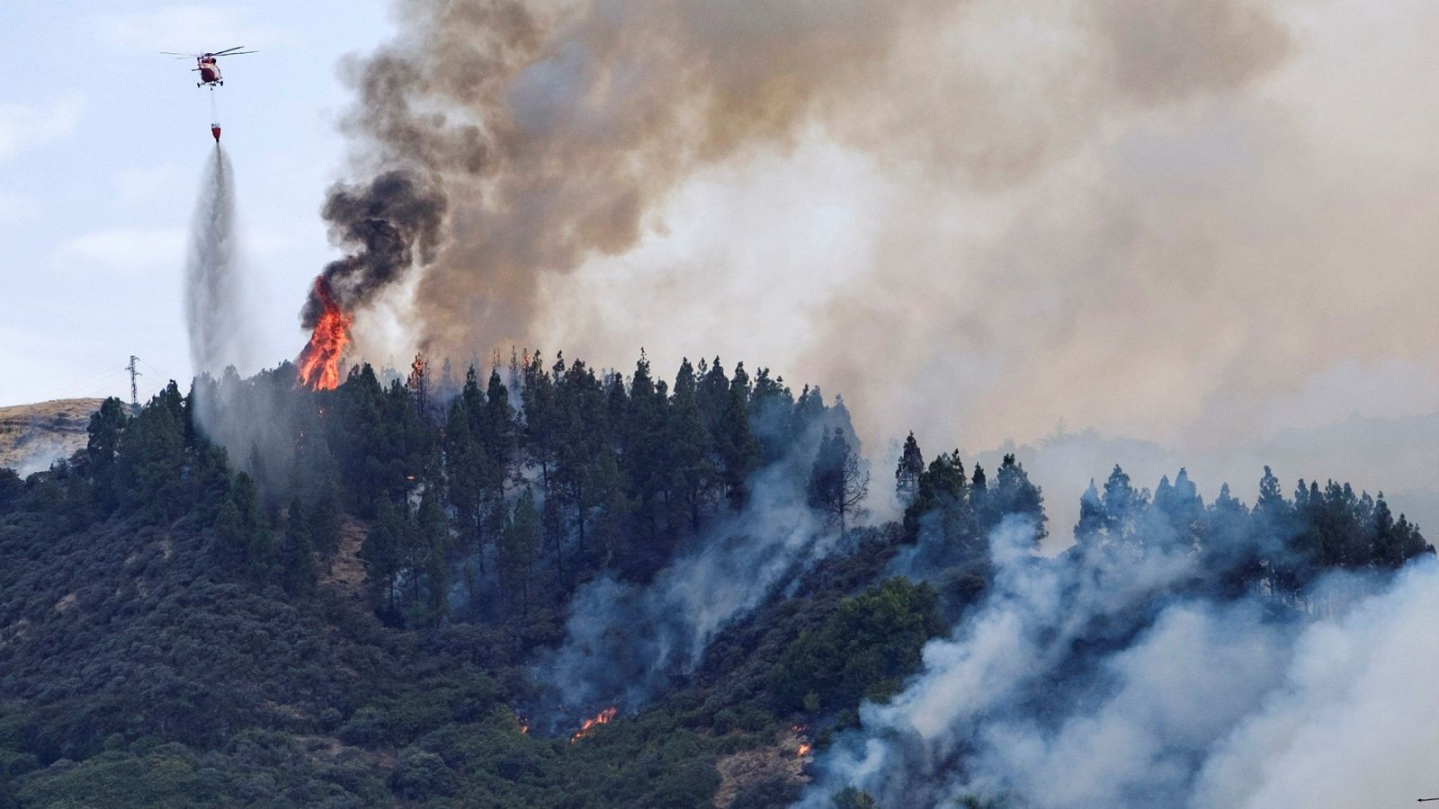 El fuego de Gran Canaria causa una "catástrofe ambiental" sin precedentes | Ver