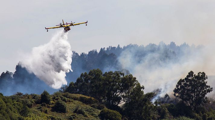Informativo 24h - El incendio de Gran Canaria ha quemado ya 12.000 hectáreas