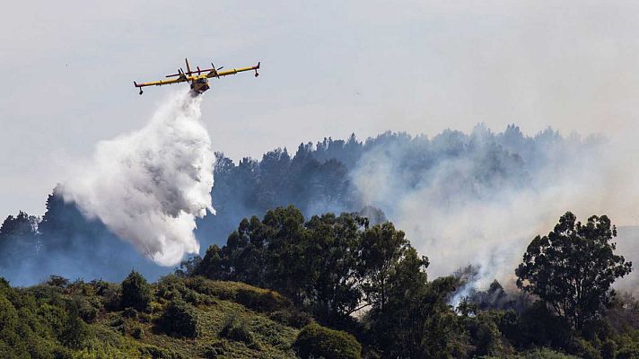 Telediario 1 - 12 mil hectareas devoradas ya por el fuego en Gran Canaria, el más devastador  desde 2013 en toda España