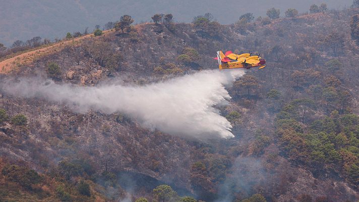 Telediario 1 - El incendio de Estepona obliga a desalojar 300 viviendas