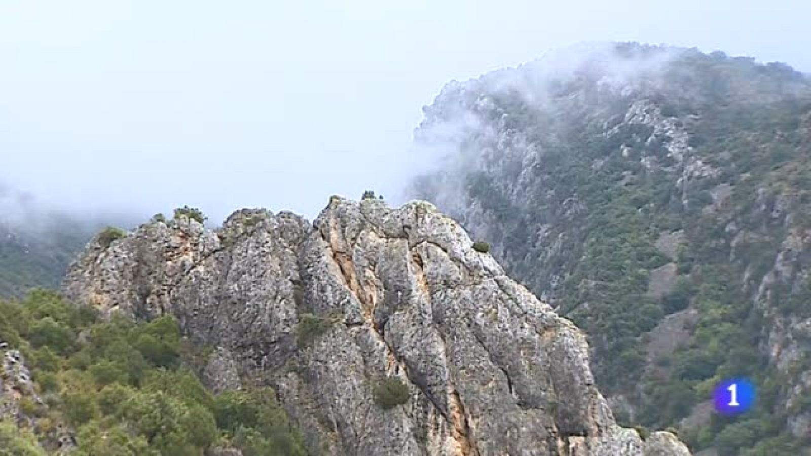 Aragón en 2'-20/08/2019 | Ver