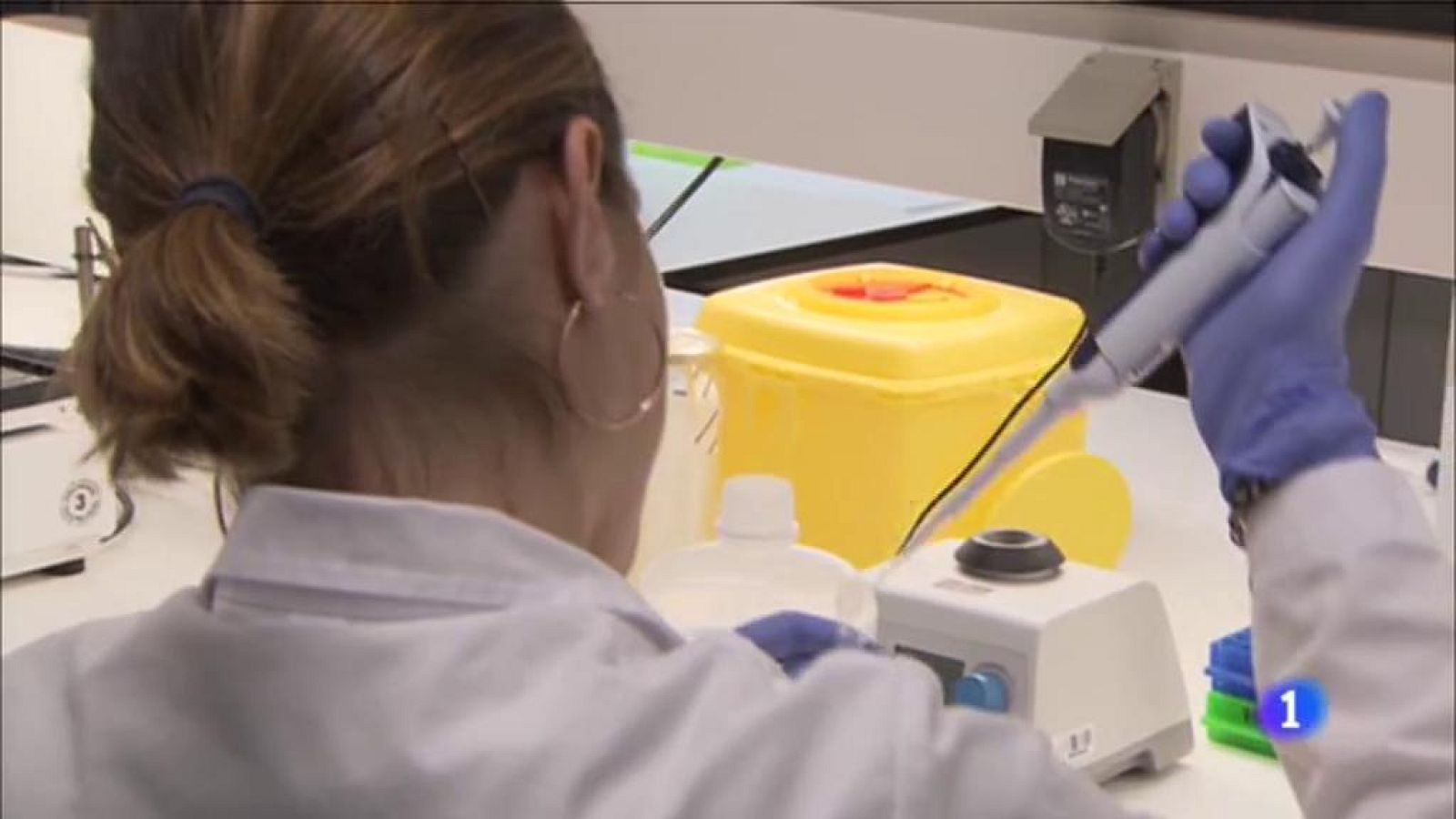 L'Informatiu 2 - 20/08/2019