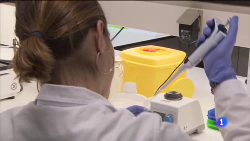 L'Informatiu 2 - 20/08/2019