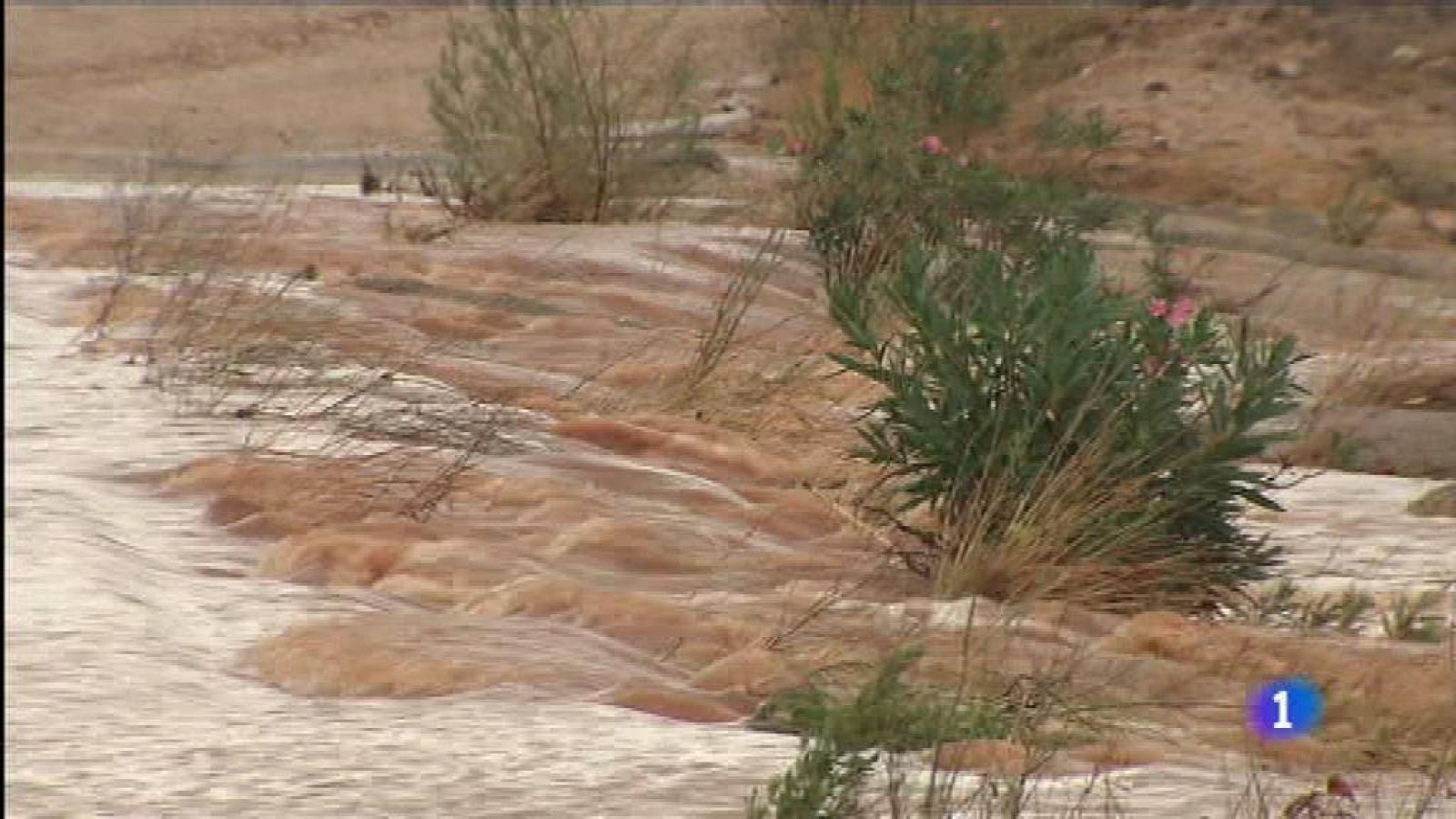 L'Informatiu - Comunitat Valenciana 2 - 20/08/19 - ver ahora