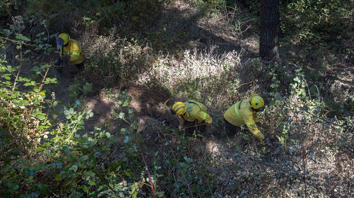 Telediario 1 - El incendio de Gran Canaria, a punto de quedar estabilizado
