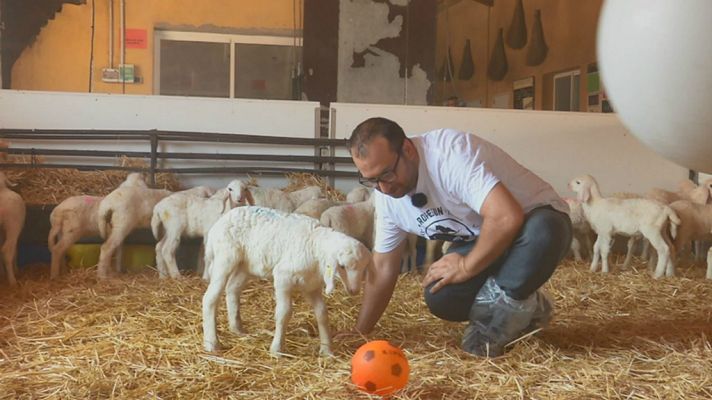 Aquí la Tierra - Un hotel para los lechazos