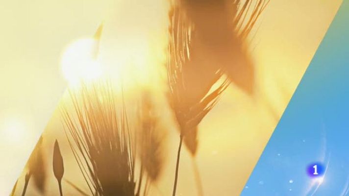 Noticias Aragón - El tiempo en Aragón  - 22/08/2019