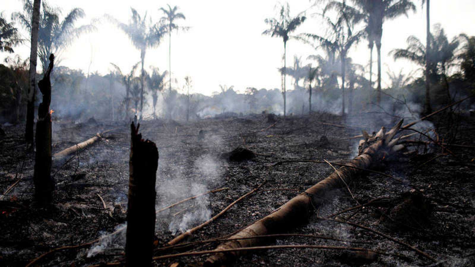 La Amazonia sufre los peores incendios forestales de los últimos años