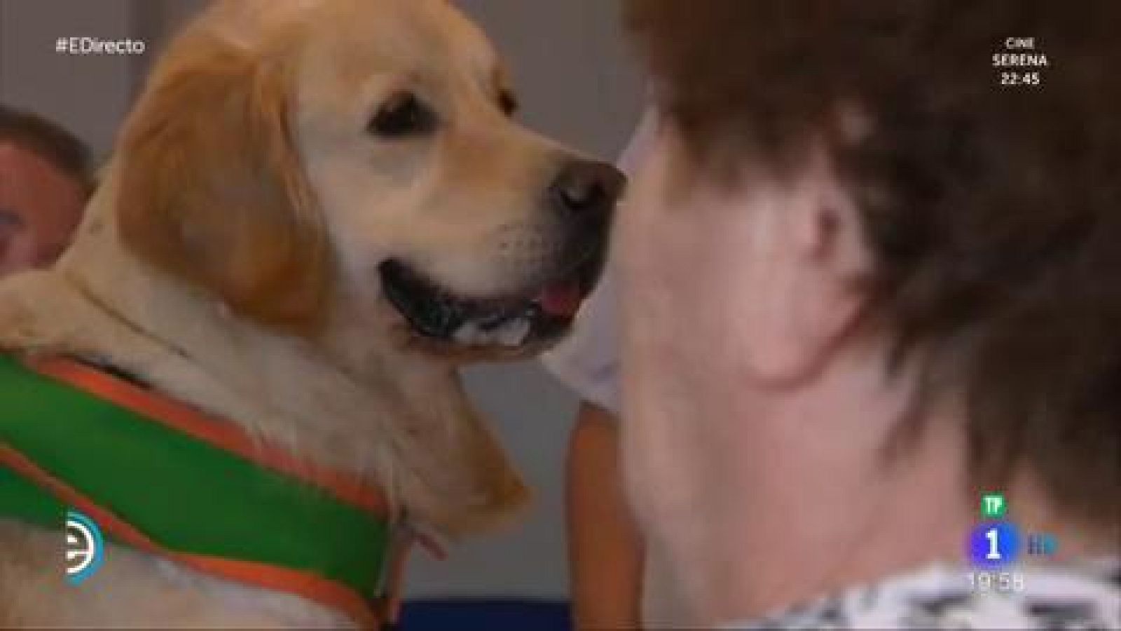 Perroterapia - España Directo | Ver