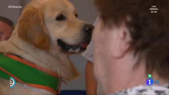 España Directo - Perroterapia