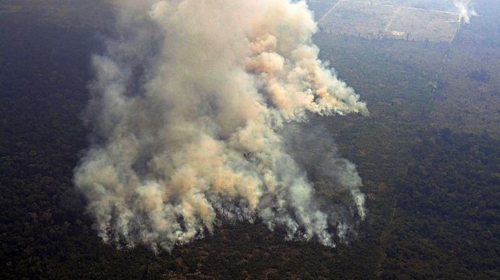 Telediario 1 - Los incendios en la Amazonia renuevan la alarma sobre el aumento de la deforestación