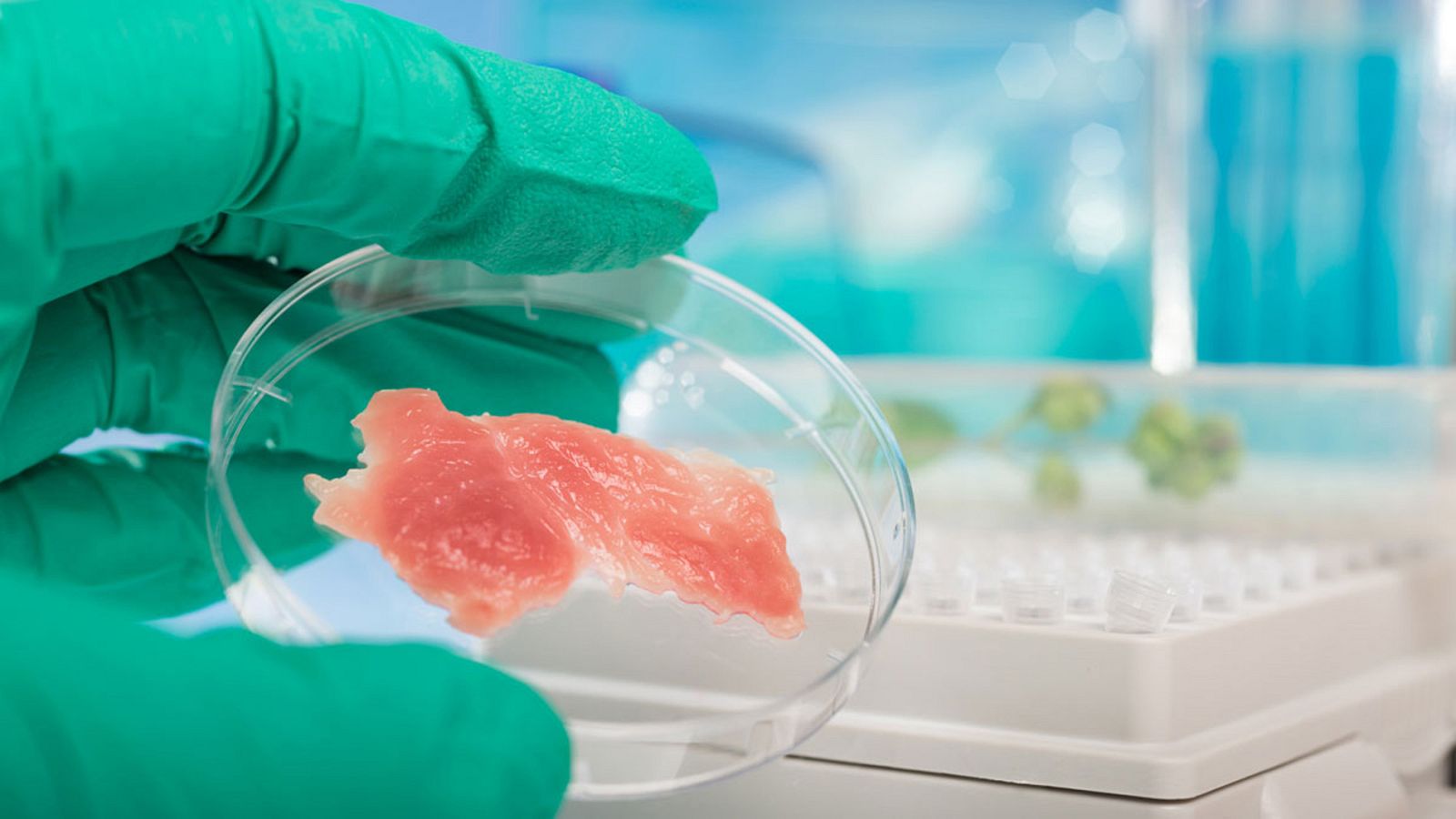 ¿Son comunes los brotes de listeriosis?