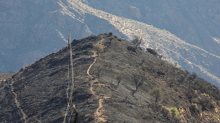 Telediario 1 - El incendio de Gran Canaria ha afectado a su biodiversidad