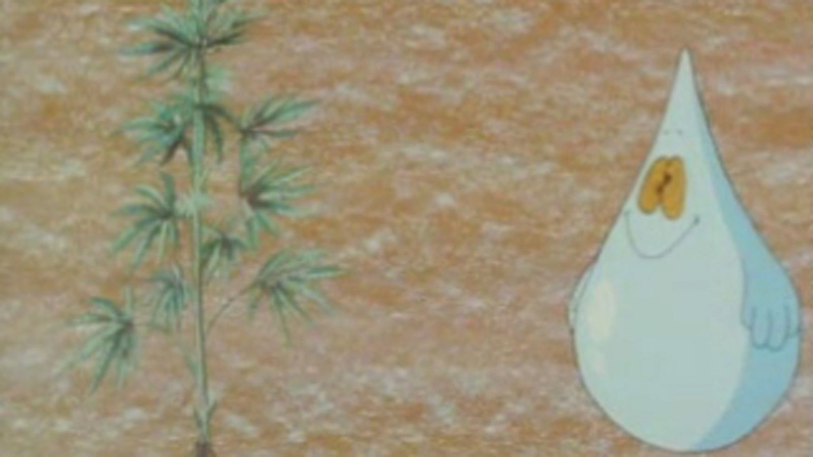 Más vale prevenir - El porro - Más vale prevenir | Ver