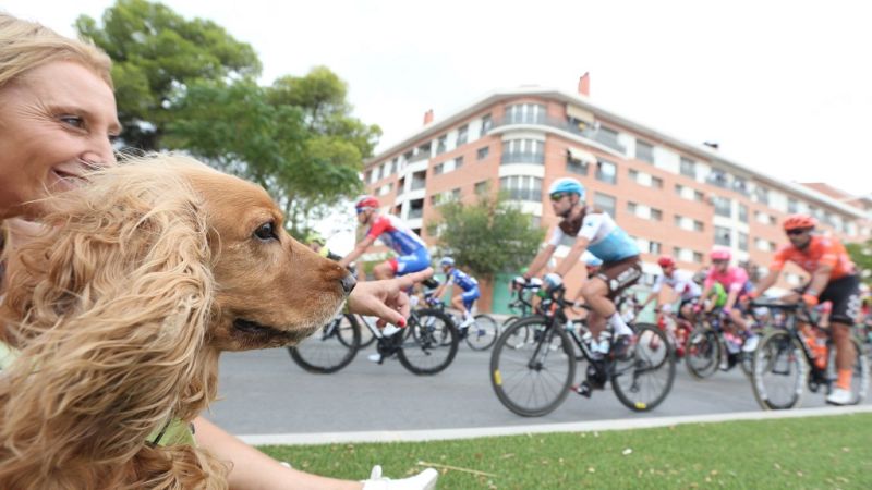 La Comunidad Valenciana en 2' - 26/08/19 - ver ahora
