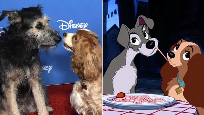 D Corazón - Las novedades de Disney para la próxima temporada