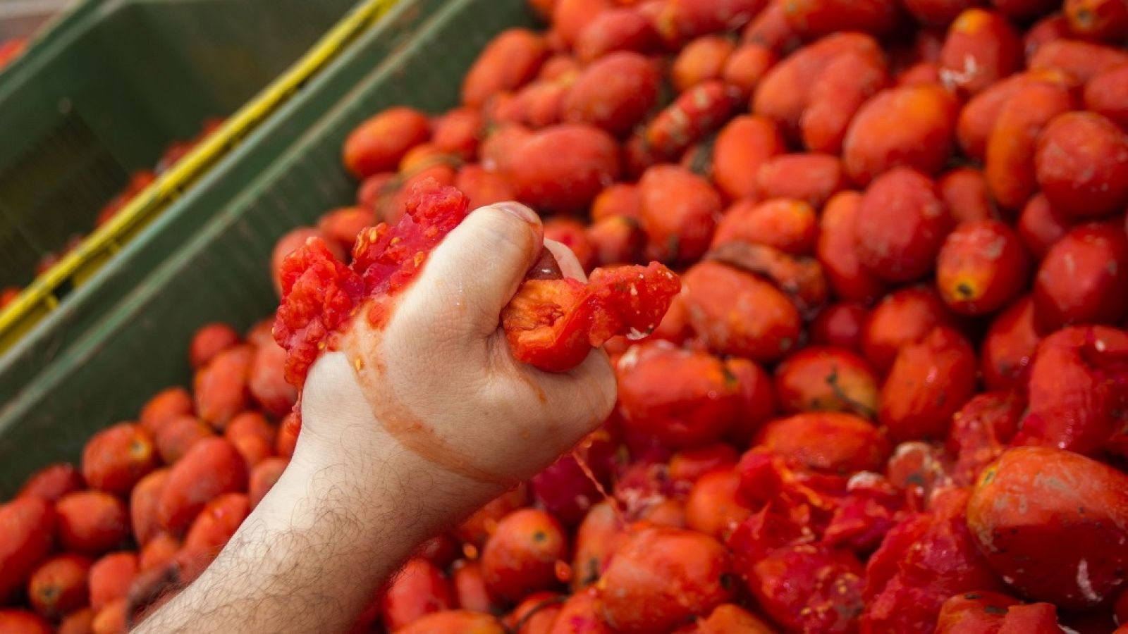 L'Informatiu - Comunitat Valenciana - 27/08/19 - ver ahora