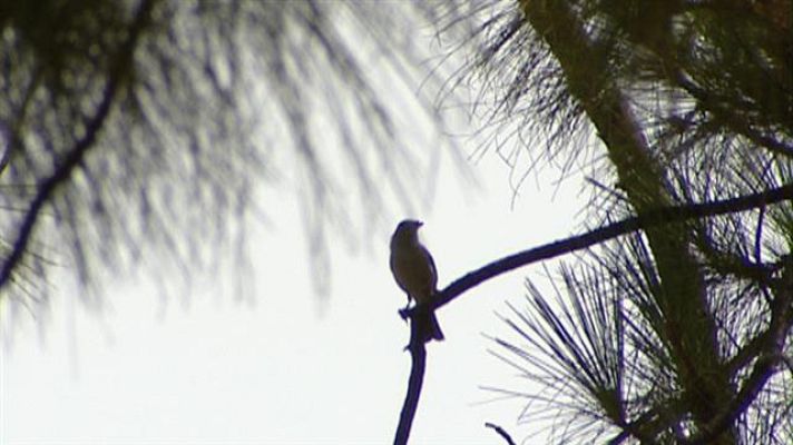 Telecanarias - Canarias en 2' - 27/08/2019