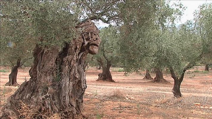 L'informatiu - Comunitat Valenciana - La Comunidad Valenciana en 2' - 28/08/19