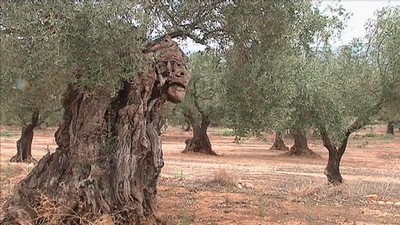 La Comunidad Valenciana en 2' - 28/08/19 - ver ahora