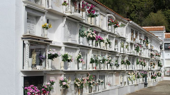 La mañana - Hallan cientos de cadáveres sin enterrar en Mallorca