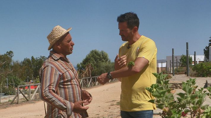 Aquí la Tierra - El experto en camaleones