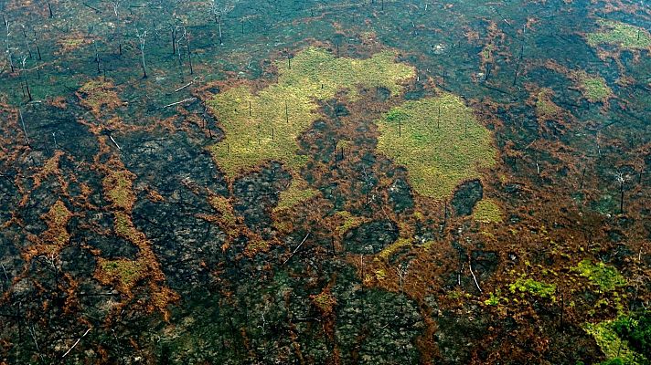 Informe Semanal - La selva en llamas