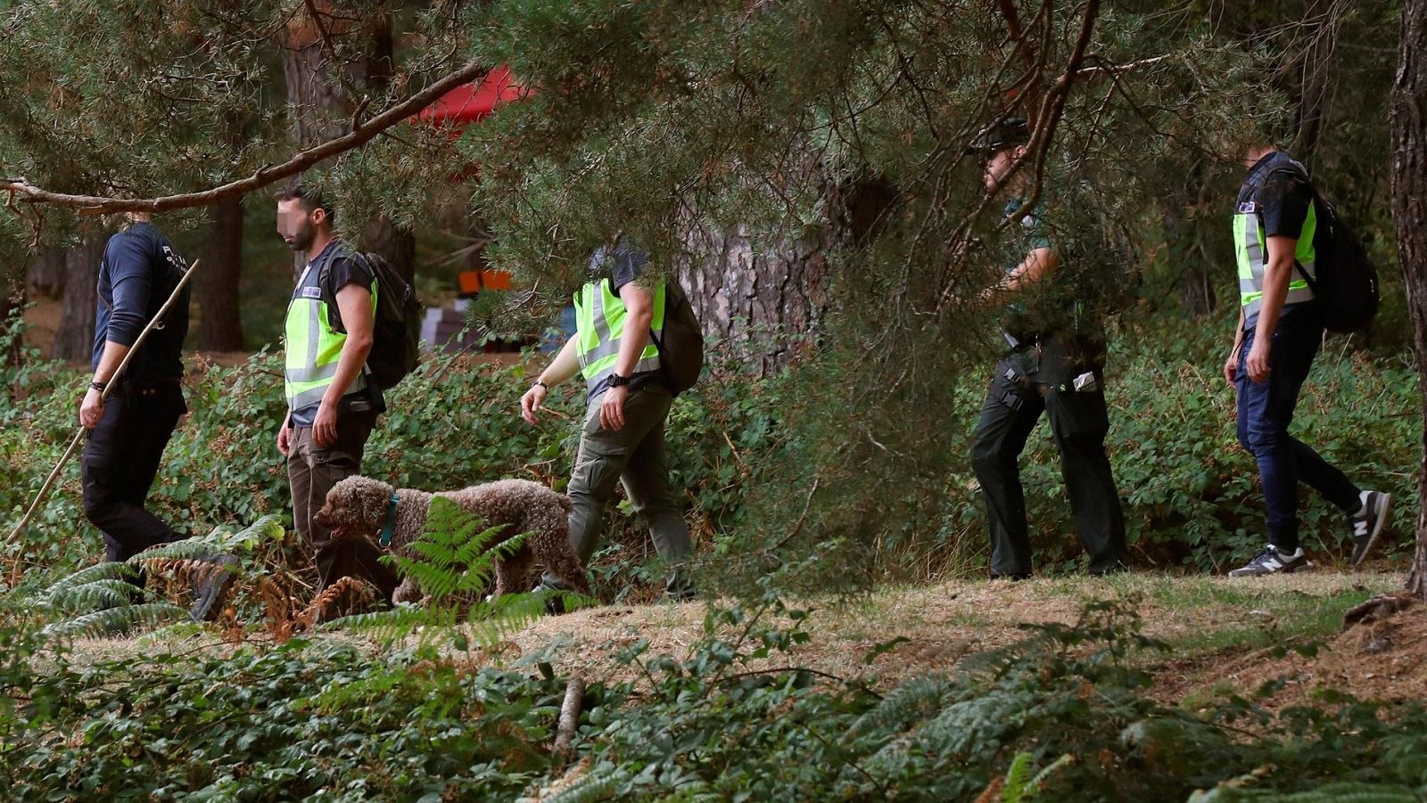 300 profesionales y 100 voluntarios buscan a Blanca Fernández Ochoa - RTVE.es | Ver