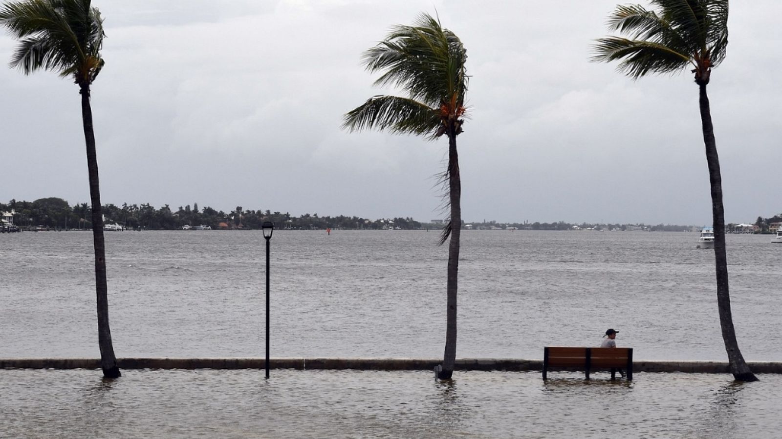Telediario - 8 horas - 03/09/19 - ver ahora