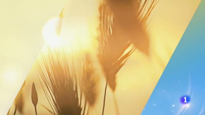 Noticias Aragón - El tiempo en Aragón - 03/09/2019