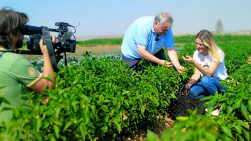 Aquí la tierra - Tres pimientos para despedir el verano