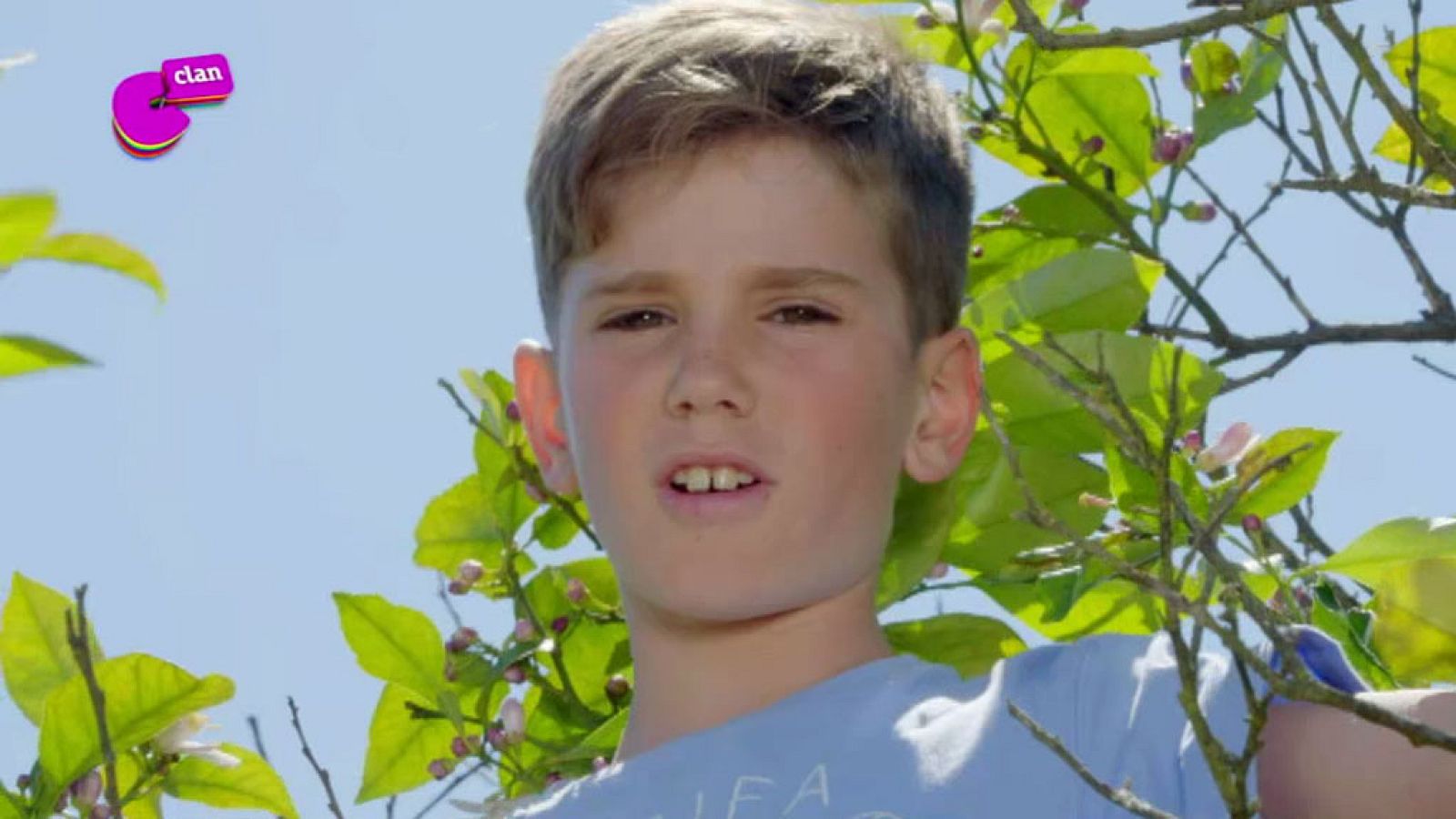 Javier, el rey de las fresas - Club Clan | Ver