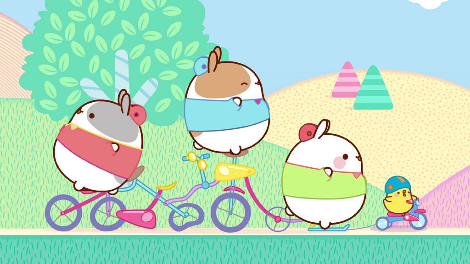 El paseo en bicicleta - Molang | Ver