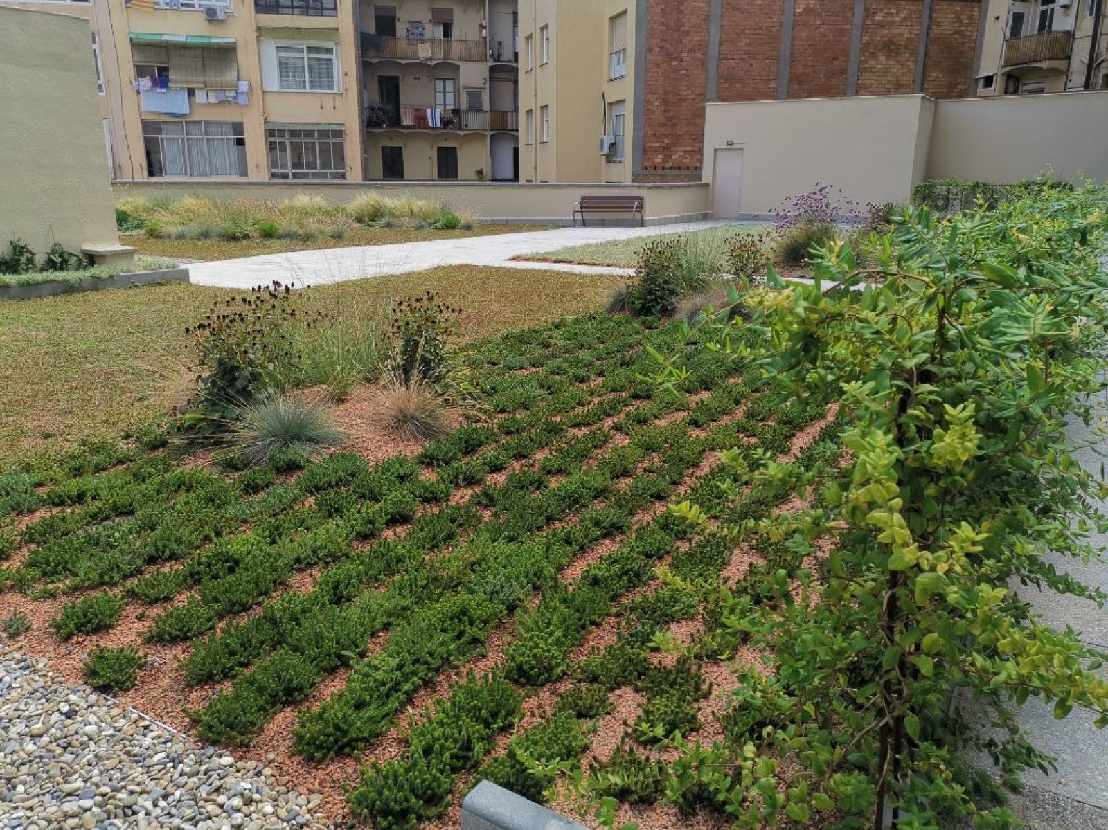 Cubiertas verdes de Barcelona - España Directo | Ver