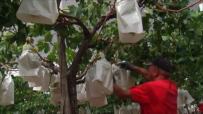 L'informatiu - Comunitat Valenciana - La Comunidad Valenciana en 2' - 06/09/19