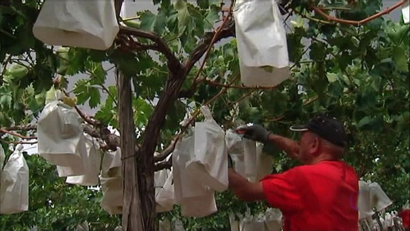 La Comunidad Valenciana en 2' - 06/09/19 - ver ahora