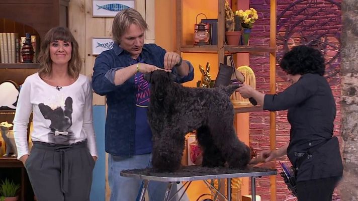 +Cotas - Programa 11