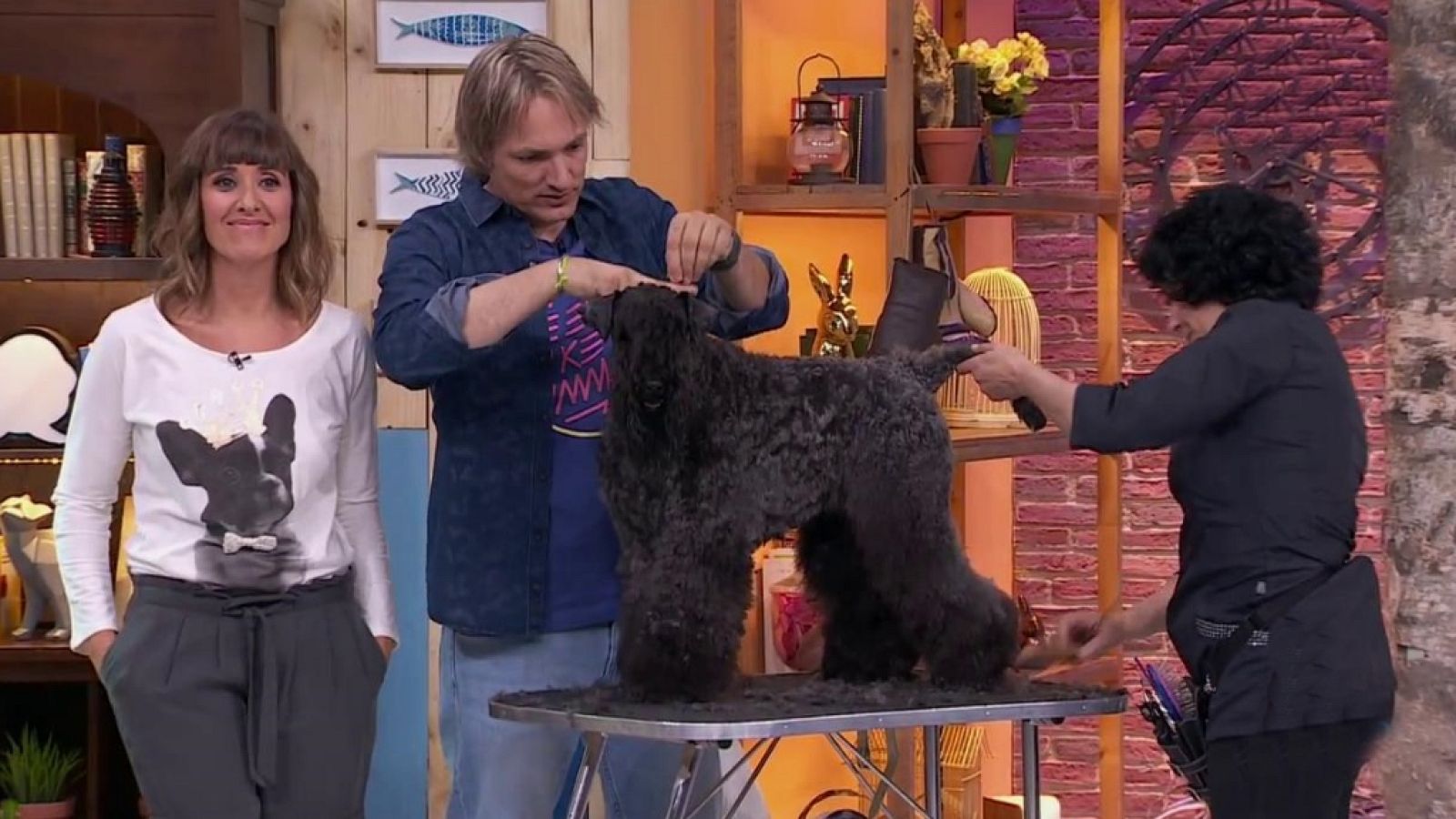 + Cotas - 11 - ver ahora