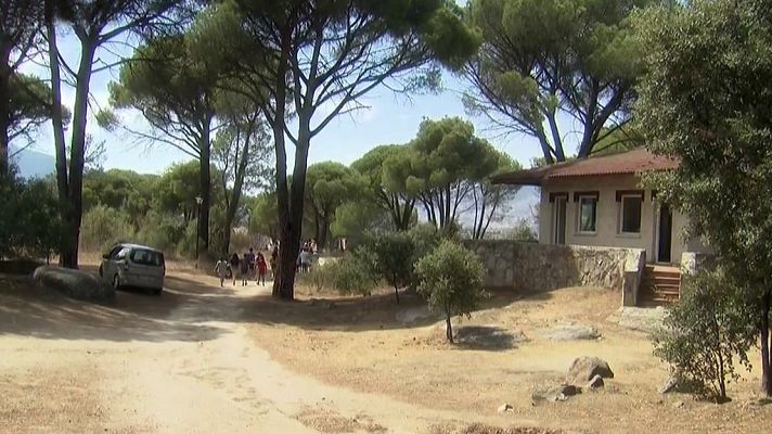 Buenas noticias TV - Pinos Reales, llenos de vida