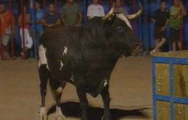 España Directo - Vuelve el toro ratón